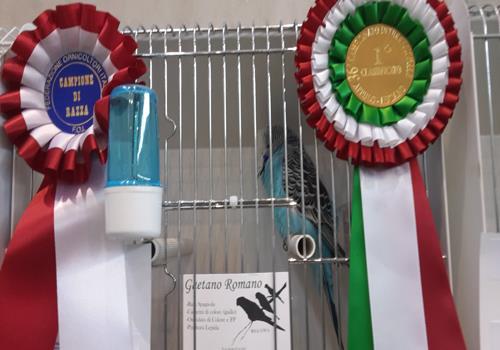 36° Campionato Interregionale di ornitologia Puglia e Basilicata