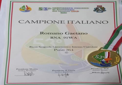 53° Campionato Italiano di Bari 